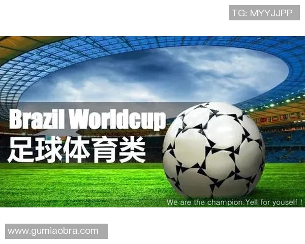 足球世界杯赛事筹备与运营管理经验探索及其对未来大型赛事的启示 足球世界杯赛事筹备与运营管理经验探索及其对未来大型赛事的启示