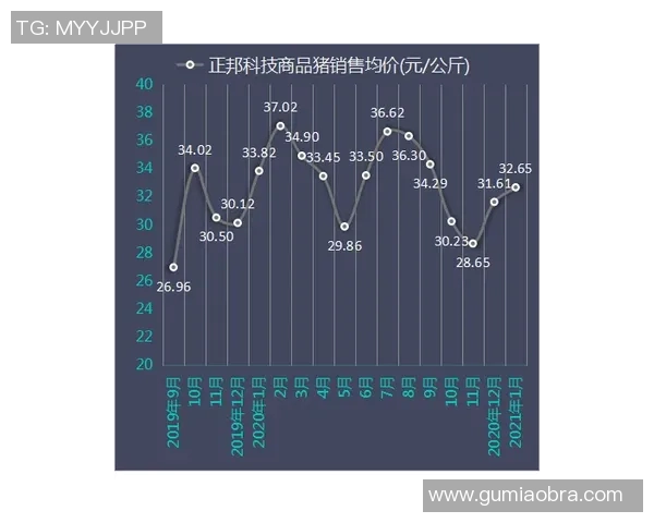 技术统计：维尼修斯近5场表现一览